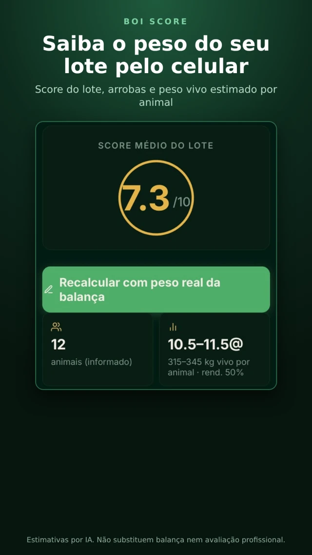 Estimativa visual do peso do lote, score e faixa de arrobas por animal no BoiScore