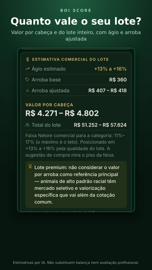 Exemplo de estimativa comercial por cabeça e do valor total do lote no BoiScore