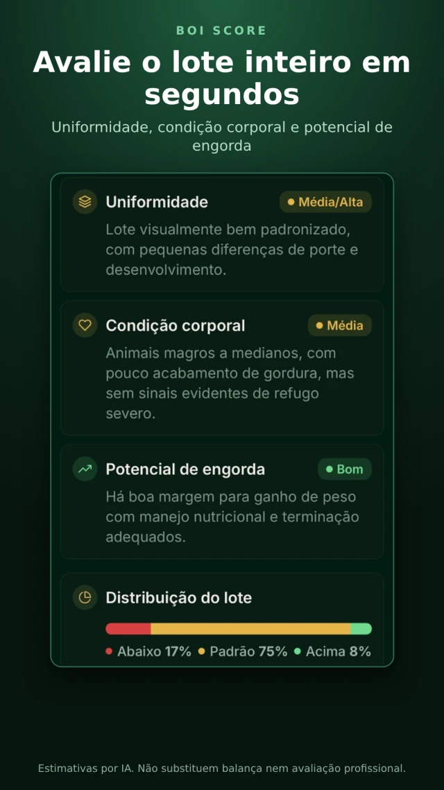 Avaliação da uniformidade, condição corporal e potencial de engorda do lote no BoiScore