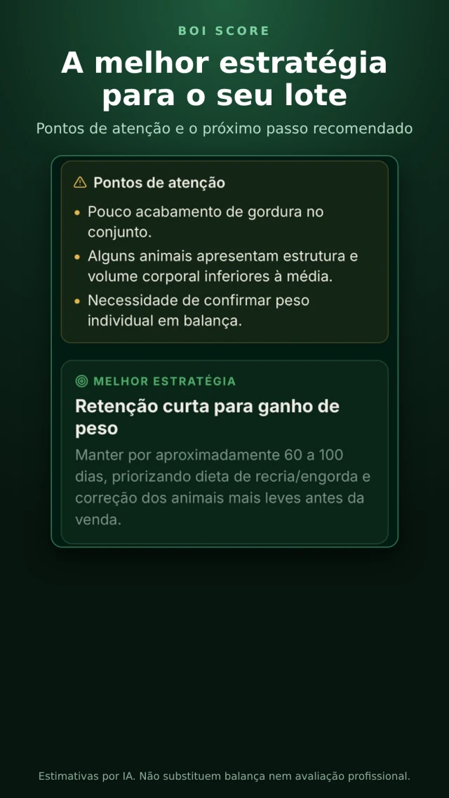 Pontos de atenção e exemplo de estratégia de manejo sugerida para o lote no BoiScore